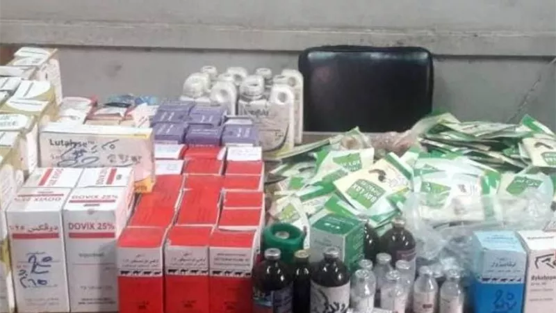ضبط ١٧ ألف عبوة دوائية غير صالحة للاستهلاك الآدمي بالشرقية