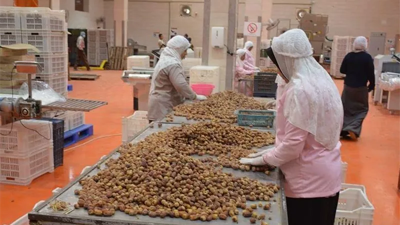 محافظ الوادي الجديد يطمئن على أجور العاملين بمجمع تمور المحافظة