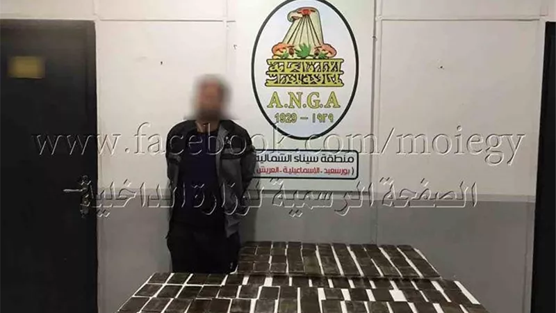 ضبط١٢٠ طربة حشيش بالقنطرة