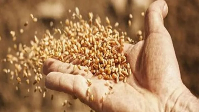 بسبب كورونا الفلاحين 
