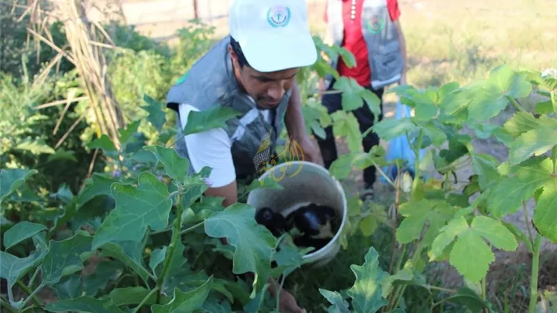 الريف المصرى يؤجل سداد أقساط أراضى المغرة المتضررين من السيول والأمطار