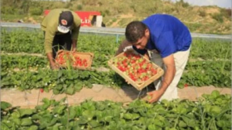 الريف المصرى يؤجل سداد أقساط أراضى المغرة المتضررين من السيول والأمطار