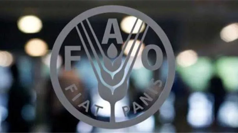 انخفاض أسعار الغذاء العالمية في مارس بسبب كورونا