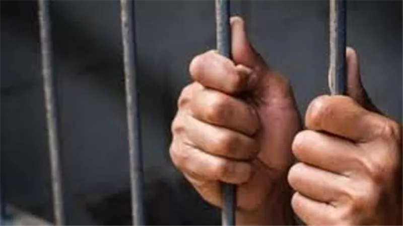 حبس فلاح قتل ابن شقيقه لخلاف على الميراث فى البحيرة