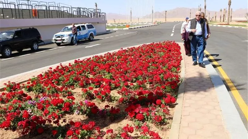 فوده: البدء فى تنفيذ مضمار سباقات الخيل واستغلال المزرعة الخشبية في زراعة النباتات