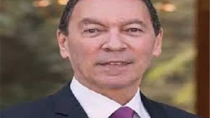 هانى الناظر: 
