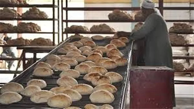 الأموال العامة تكشف عملية تزوير بتموين سوهاج.. ضبط مسئول زوّر خطابات استخراج رخص مخابز بلدية