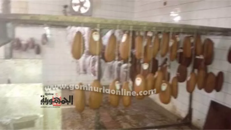 ضبط 2800 كيلو بسطرمة غير صالحة بالثغر قبل طرحها بالاسواق صور