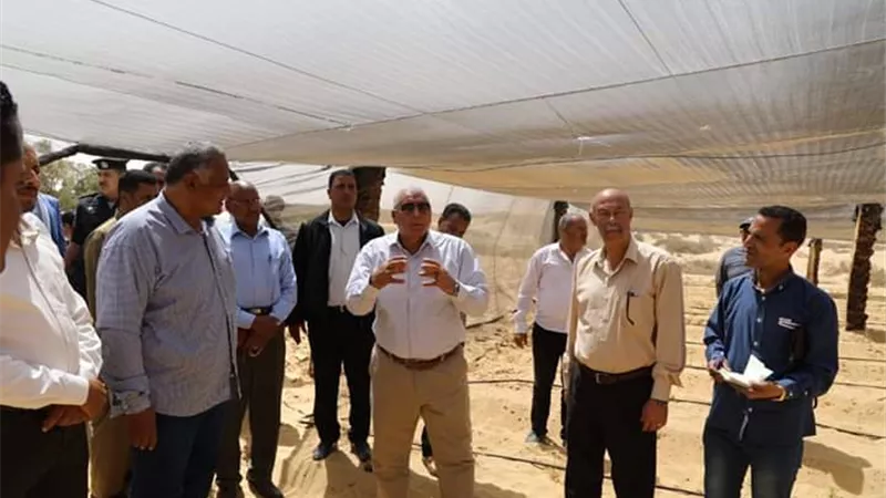 محافظ الوادي الجديد يدعم مشروعات الصوب الزراعية من مخلفات النخيل .صور