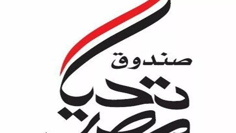 العائدون من لندن ينظمون مبادرة للتبرع لصندوق تحيا مصر