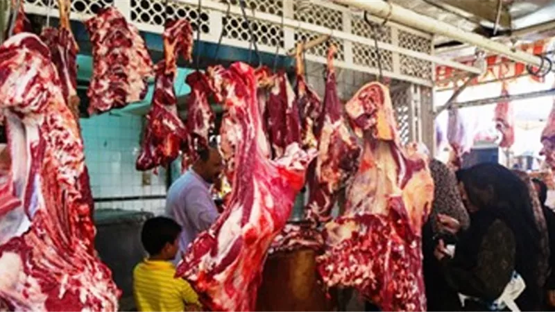 شباب اسيوط يطلقون مبادرة خير في مصر لبيع لحوم بأسعار مخفضة لمحدودي الدخل