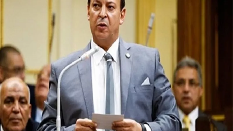 برلمانى يشيد بدور القوات المسلحة فى توفير السلع..ويطالب بإحالة المحتكرين للقضاء العسكرى