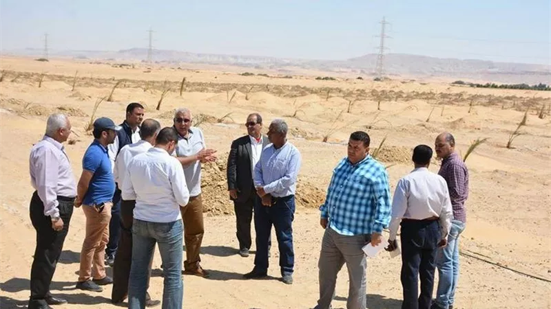 محافظ الوادي الجديد يتفقد مزرعة نخيل على مساحة 200 فدان شمال الخارجة