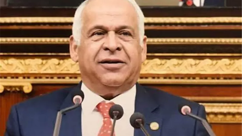فرج عامر يشيد بتخفيض أسعار الوقود: خطوة لتقليل العبء على المواطنين
