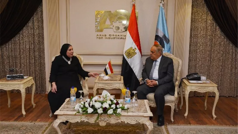 تطوير الصناعة الوطنية على مائدة الحوار بين وزيرة التجارة والصناعة ورئيس الهيئة العربية للتصنيع