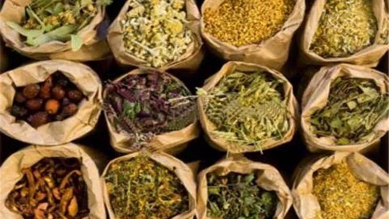 عشبة مهملة تساعد على نسف الدهون