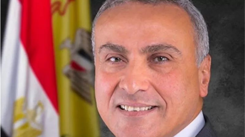 نائب محافظ 