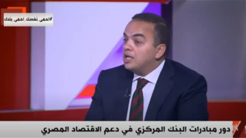 رئيس هيئة الاستثمار الأسبق: إسقاط القضايا ضد المتعثرين يساعد الاقتصاد فى تحرك السيولة.. فيديو