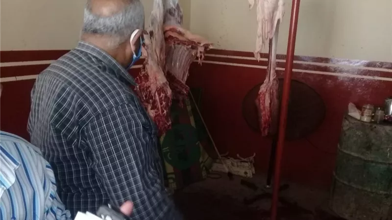 الزينية شمال الأقصر تحرر ١٣ محضر ومخالفة تموينية