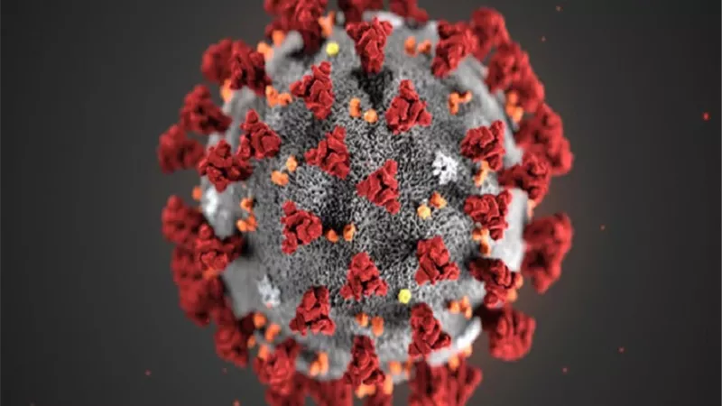 وفيات 