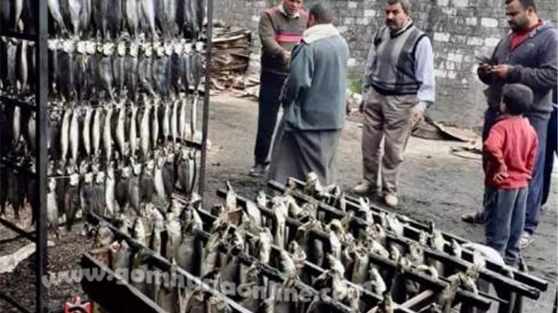 ضبط مصنع رنجه غير مُرخص بكفر الشيخ