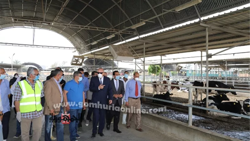 محافظ قنا : منظومة متكاملة لإنتاج وتوفير السلع الغذائية للمواطنين