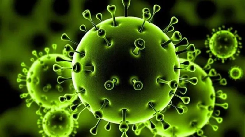 تحليل ال PCR بالأقصر للمخالطين للحالات المصابة بفيروس كورونا ذات الأعراض