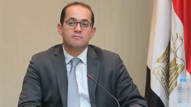 نائب وزير المالية: مصر ضمن 12 دولة لم تنخفض تصنيفاتها الائتمانية