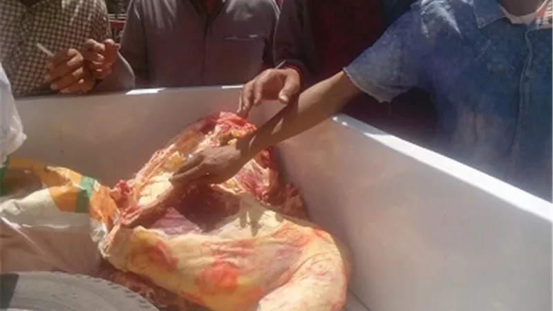 ضبط لحوم وسلع غير صالحة في حملة بمشاركة ممثلي حقوق الإنسان في أسيوط