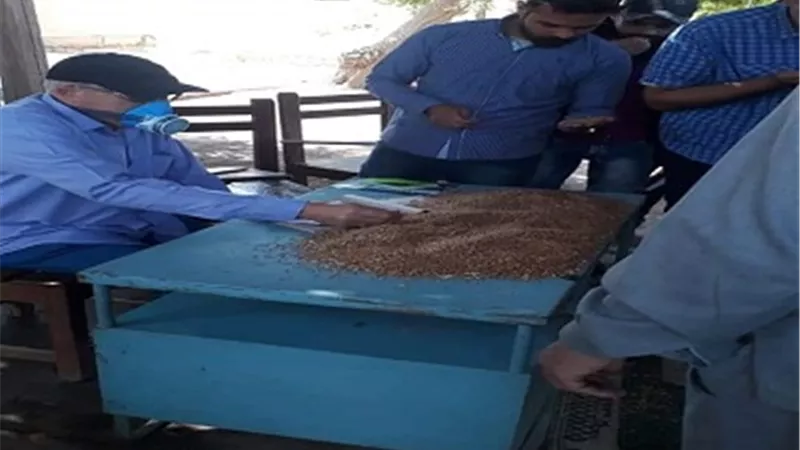 وكيل وزارة الزراعه ببنى سويف يتفقد صوامع الواسطى