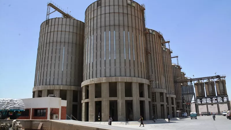 محافظ سوهاج: توريد 731 طن أقماح منذ بدء الموسم