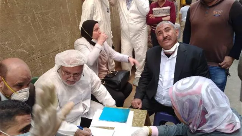 محافظ القليوبية: خفافيش الحزانية من نوع 