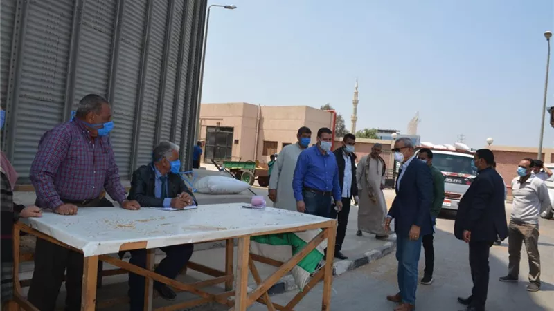 الهجان يفاحئ صوامع تخزين القمح ببنها مع بدء موسم الحصاد