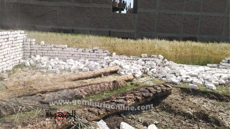 إزالة ٦ حالات تعدى على الأراضى بالضبعية غرب الأقصر