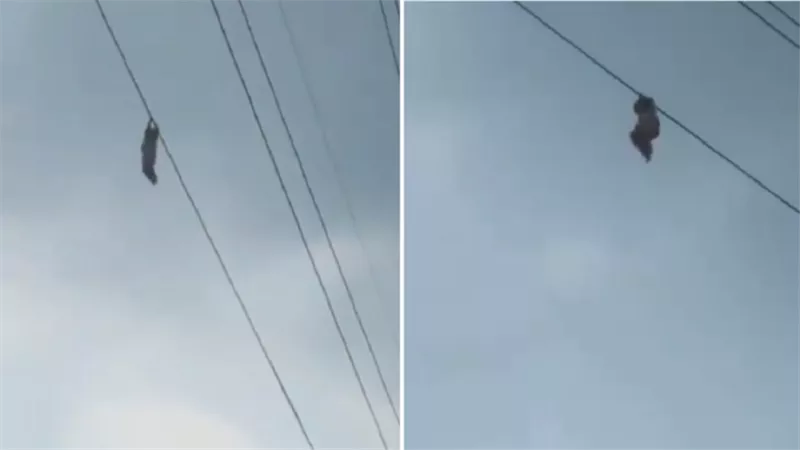 رفع فى الهواء اثناء لهوه بجوار كابلات الجهد العالي