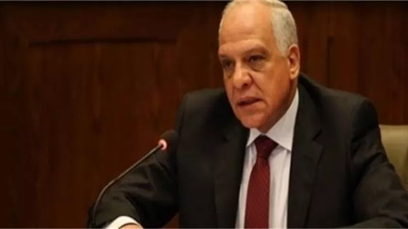 ضبط 5،5 طن فسيخ فاسد بالوراق وأوسيم بالجيزة.. وغلق الحدائق والمتنزهات