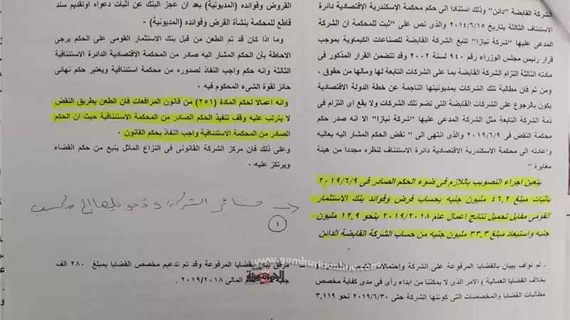 نيازا .. بين الخسارة و الارباح الوهمية ( 3 )
