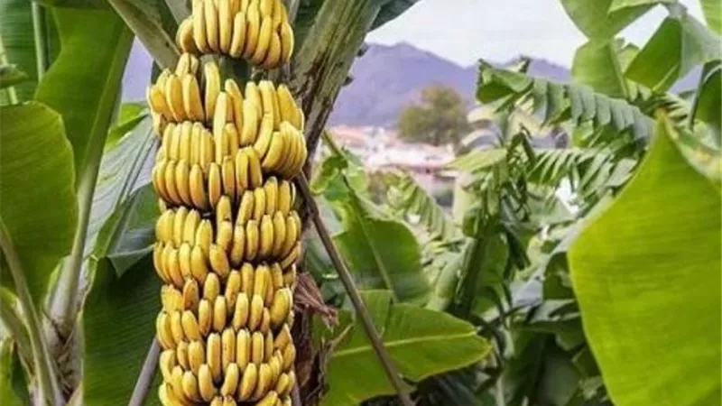 اول رد فعل من 