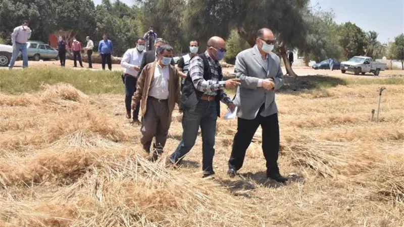 محافظ أسيوط يتفقد بدء حصاد محصول القمح بمركز أبنوب