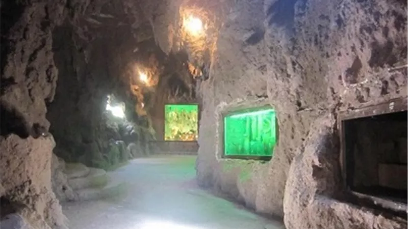 الزراعة: 