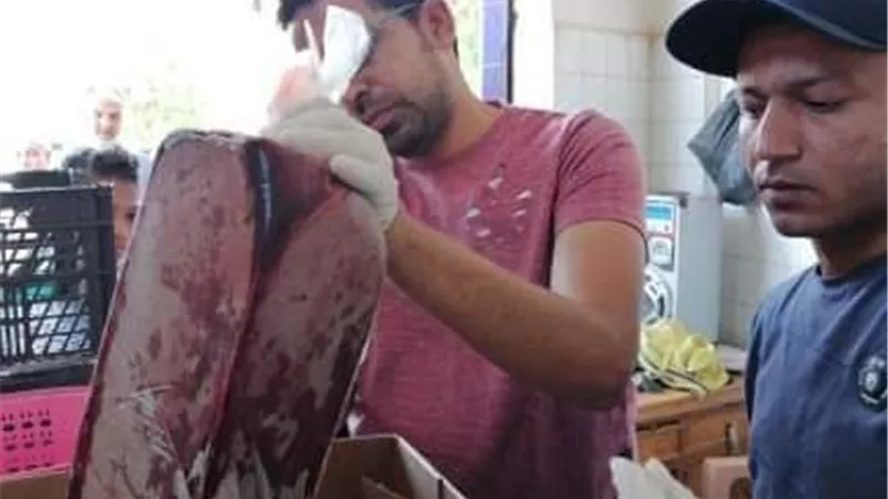 إعدام لحوم فاسدة وتحرير مخالفات فى حملة تفتيش مفاجئة بالوادى الجديد