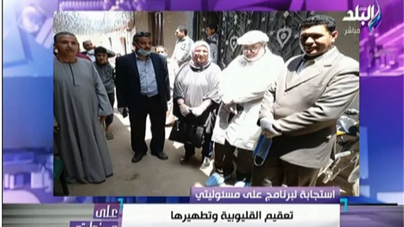 استجابة لـ «على مسئوليتي».. تطهير قرية بشبين القناطر من الخفافيش.. فيديو