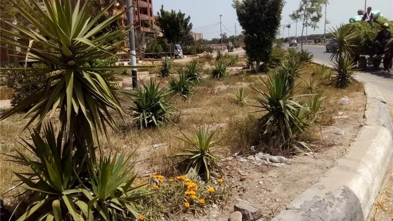 حدائق الشرقية خالية من روادها لالتزامهم بمنازلهم فى اعياد الربيع