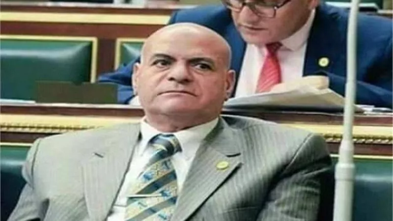 برلمانى: الفصول التفاعلية بين المدرسين والطلاب أساس نجاح تجربة التعليم عن بعد