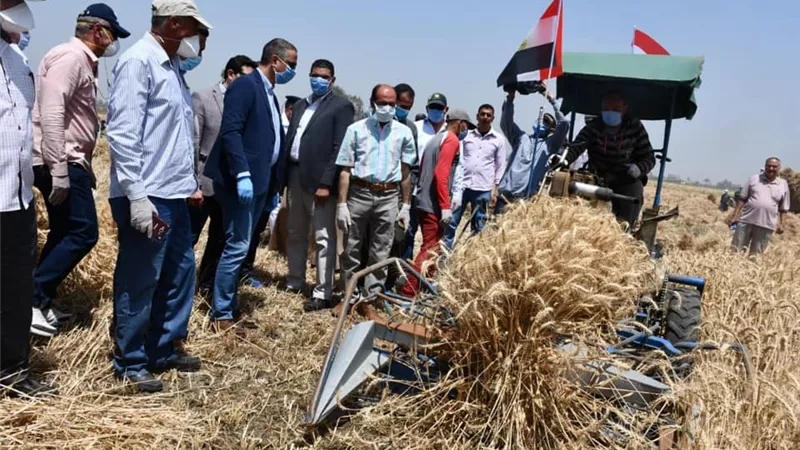 محافظ الفيوم: السلالات الجيدة والميكنة والري الحديث ركائز أساسية لزيادة المحصول