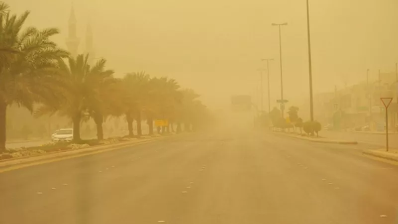البيئة تصدر بيانا بشأن تأثير العوامل الجوية على طقس اليوم