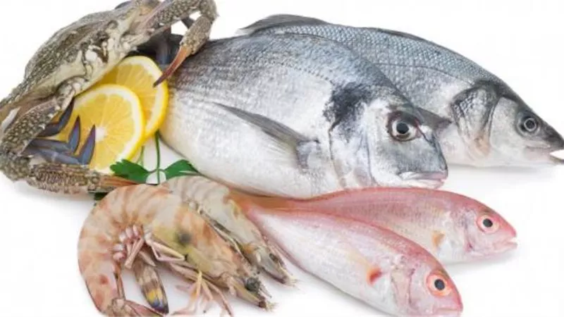 أسعار السمك اليوم الخميس 23 أبريل 2020