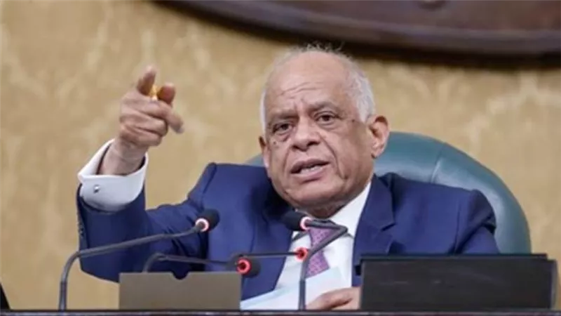 البرلمان يوافق نهائيا على قانون المشروعات الصغيرة.. تعرف على التفاصيل