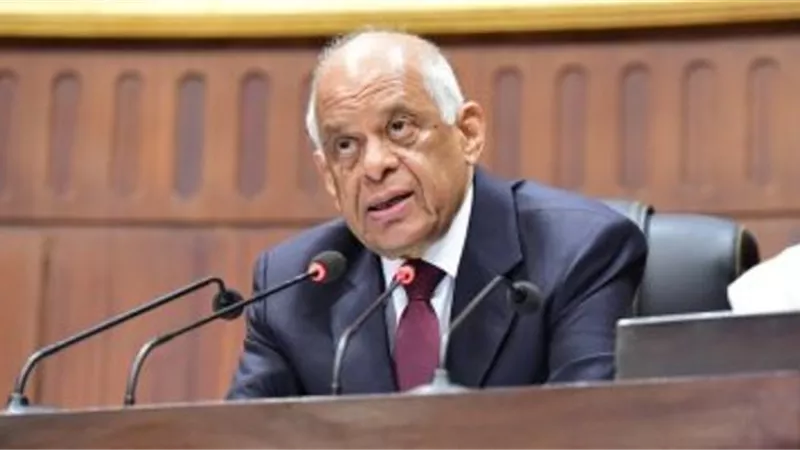 مجلس النواب يوافق نهائيا على قانون زيادة المعاشات