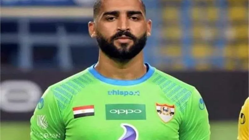 الانتاج الحربى يتلقى عرضا سعوديا بشأن عامر عامر